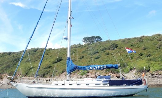 Frans Maas Hawk 42, Segelyacht for sale by White Whale Yachtbrokers - Sneek