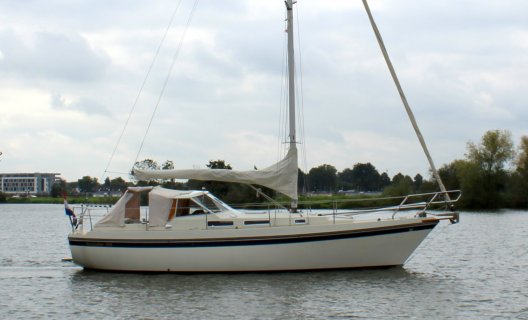 Finnsailer 34, Zeiljacht for sale by White Whale Yachtbrokers - Limburg