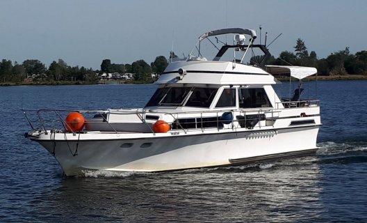 Butzfleth 48 Fly, Motoryacht for sale by White Whale Yachtbrokers - Limburg