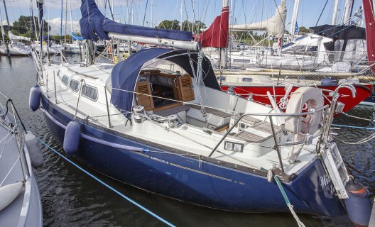 white whale yachtbrokers enkhuizen