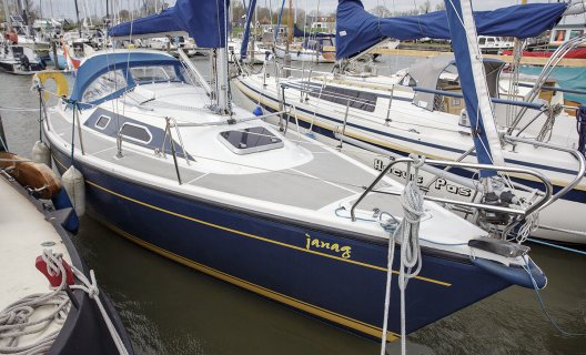 Dehler 28 Succes 1000 Limited Edition, Zeiljacht for sale by White Whale Yachtbrokers - Enkhuizen