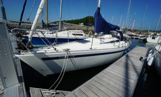 Hanse 291, Zeiljacht for sale by White Whale Yachtbrokers - Willemstad