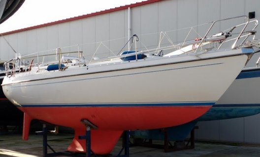 Victoire 933, Zeiljacht for sale by White Whale Yachtbrokers - Sneek