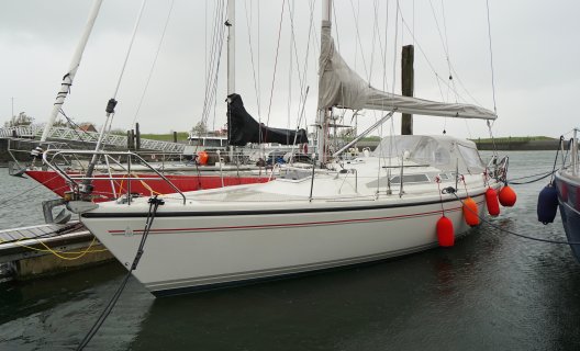 Dehler 36 CWS, Segelyacht for sale by White Whale Yachtbrokers - Willemstad
