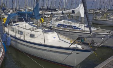 Hallberg-Rassy MONSUN 31, Zeiljacht  for sale by White Whale Yachtbrokers - Enkhuizen