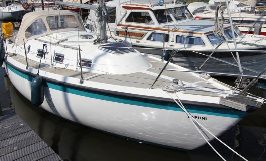 Hurley 800, Segelyacht for sale by White Whale Yachtbrokers - Sneek