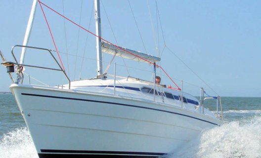 Odin 820, Motoryacht for sale by White Whale Yachtbrokers - Willemstad