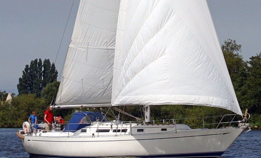Cal 39, Segelyacht for sale by White Whale Yachtbrokers - Enkhuizen