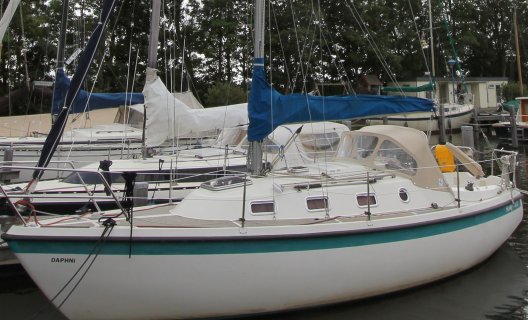 Hurley 800, Segelyacht for sale by White Whale Yachtbrokers - Sneek