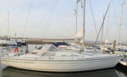 Dehler 36 Db, Segelyacht for sale by White Whale Yachtbrokers - Willemstad