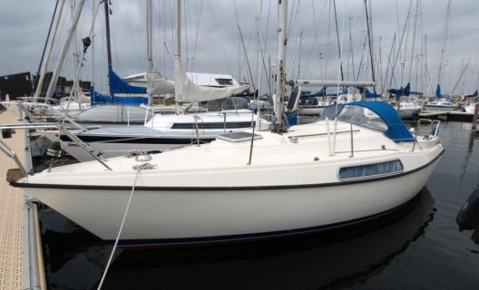 Hallberg Rassy 26, Sailing Yacht for sale by White Whale Yachtbrokers - Willemstad