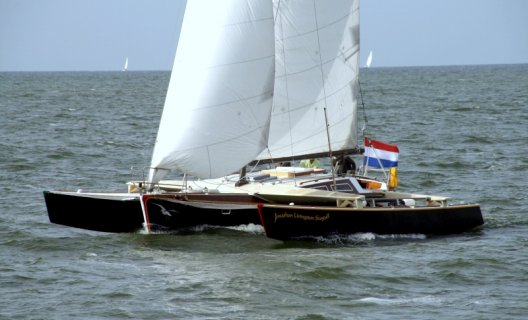 One Off Trimaran Quorning 33, Segelyacht for sale by White Whale Yachtbrokers - Sneek
