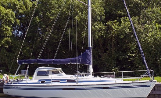Dehler 35 CWS, Sailing Yacht for sale by White Whale Yachtbrokers - Enkhuizen