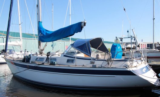 Hallberg Rassy 34, Segelyacht for sale by White Whale Yachtbrokers - Sneek
