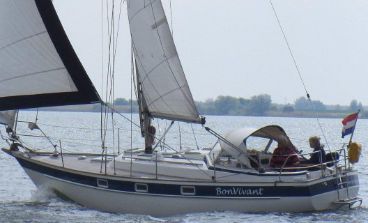 Hallberg Rassy 312 MK I, Segelyacht for sale by White Whale Yachtbrokers - Willemstad