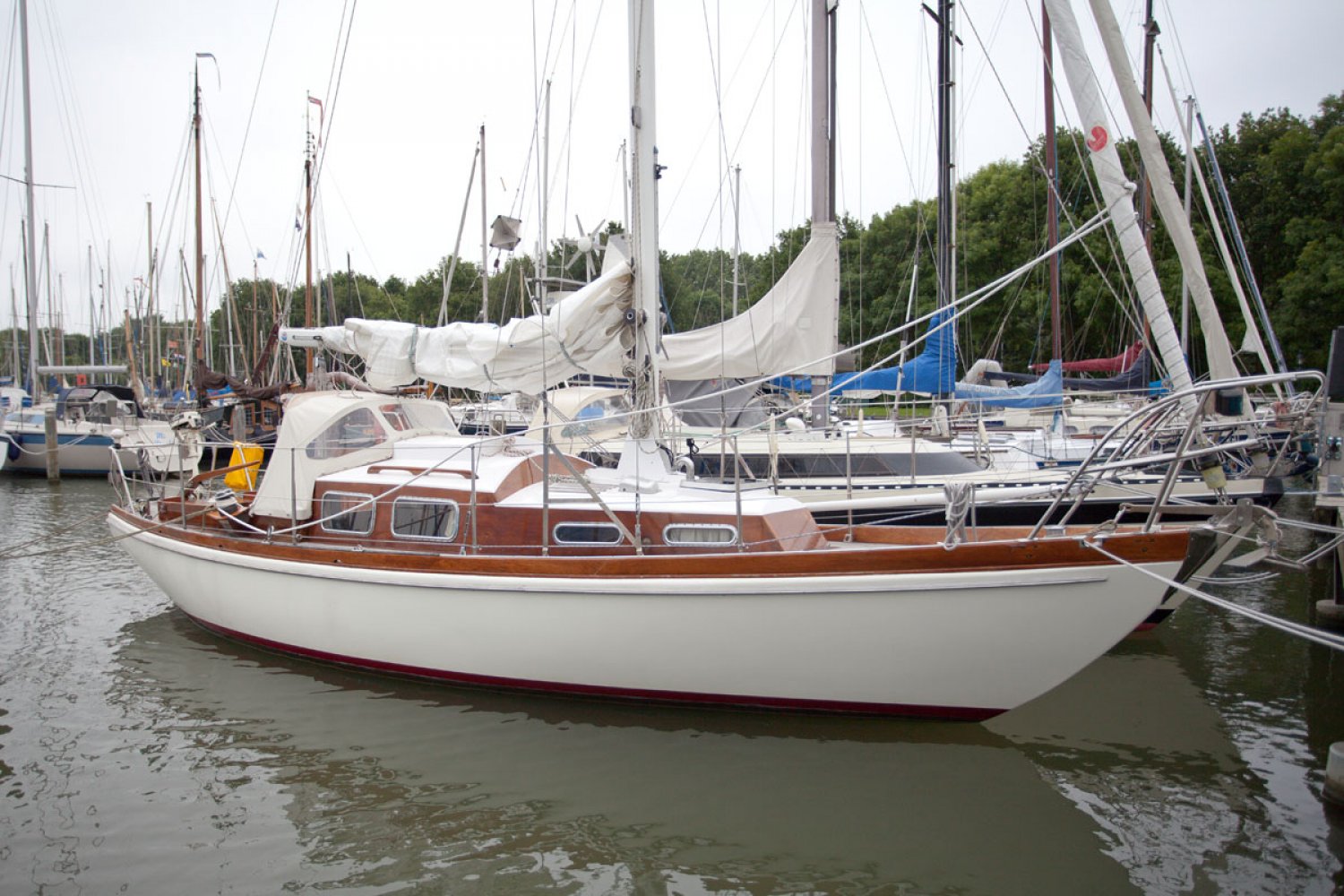 trintella sailboat
