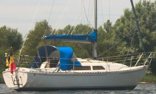 Trapper 501, Segelyacht for sale by White Whale Yachtbrokers - Willemstad