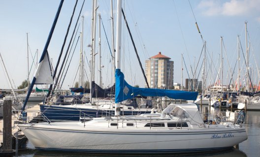 Catalina 36, Sailing Yacht for sale by White Whale Yachtbrokers - Enkhuizen
