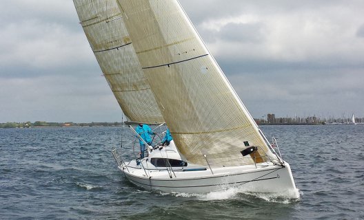 Dehler 32, Sailing Yacht for sale by White Whale Yachtbrokers - Enkhuizen