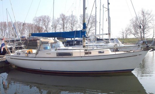 Hallberg Rassy 35, Segelyacht for sale by White Whale Yachtbrokers - Willemstad