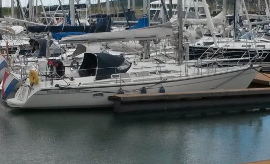 Dehler 39 CWS, Sailing Yacht for sale by White Whale Yachtbrokers - Willemstad
