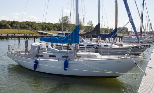 Rival 34, Sailing Yacht for sale by White Whale Yachtbrokers - Enkhuizen