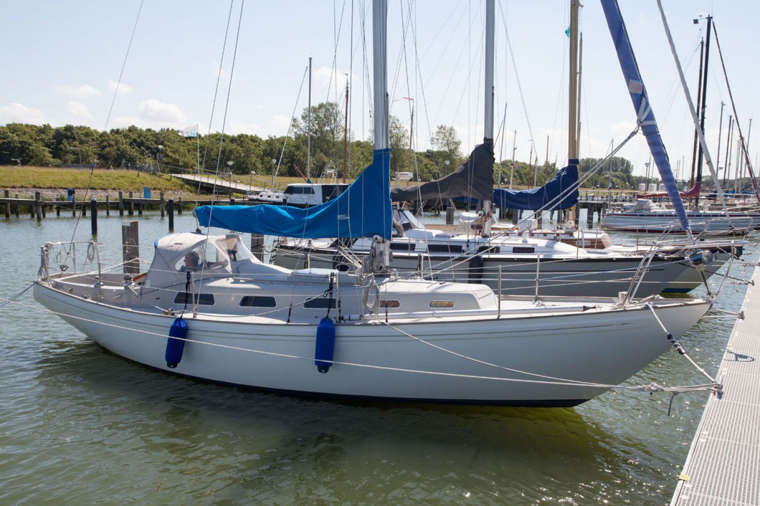 rival 34 sailboat