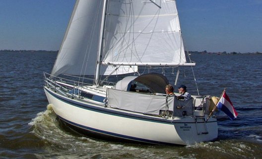 Dehler Duetta 86 LS, Segelyacht for sale by White Whale Yachtbrokers - Enkhuizen