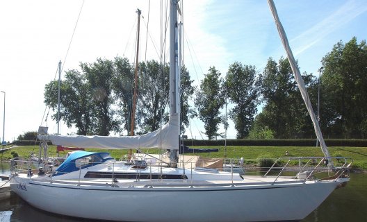 Hallig 35C Hefkiel, Zeiljacht for sale by White Whale Yachtbrokers - Willemstad