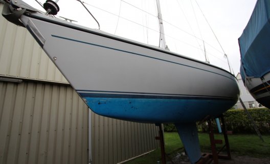 Dehler 34 (Optima 106), Zeiljacht for sale by White Whale Yachtbrokers - Sneek