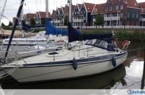 Maxi 84