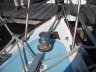 Rustler 31