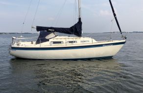 Hurley 800