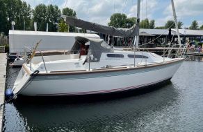 Westerly REGATTA 260