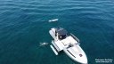 WIDER 42