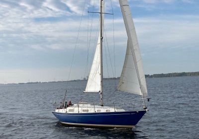 Contessa 32, Zeiljacht for sale by Wehmeyer Yacht Brokers