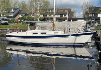 Hallberg Rassy 29, Segelyacht for sale by Wehmeyer Yacht Brokers