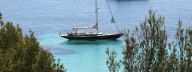 Puritana 50