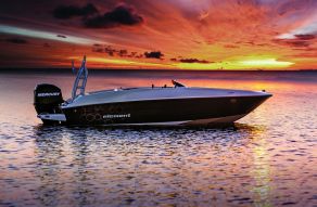 Bayliner Element E5