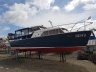 Cytra 31