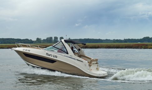 Bayliner 842 Cuddy, Speedboat und Cruiser for sale by 