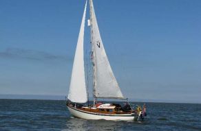 Vertue II