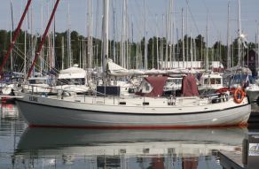 Danish Rose 39