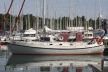 Danish Rose 39
