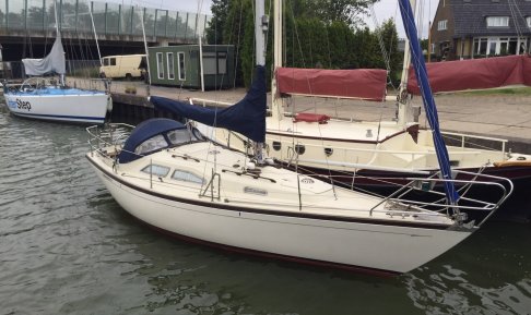 Bianca COMMANDER 31, Zeiljacht for sale by Schepenkring Roermond