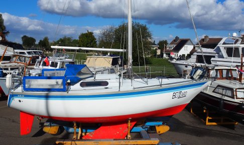 Aloa 29, Zeiljacht for sale by Schepenkring Roermond