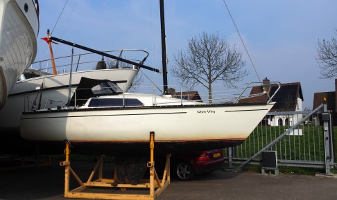 Wing 6.8, Segelyacht for sale by Schepenkring Roermond