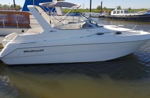 Wellcraft 2600 Martinique