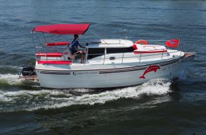 Laguna Cruiser 700