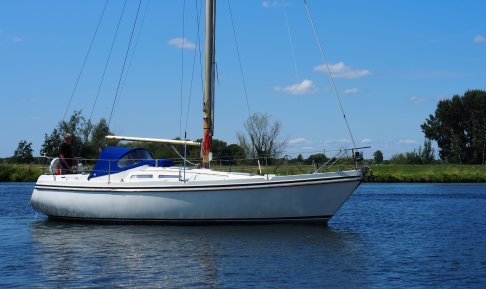 Contest 31, Sailing Yacht for sale by Schepenkring Roermond